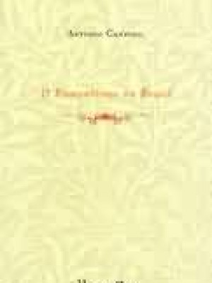 Foto da capa do livro O Romantismo no Brasil