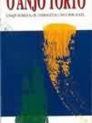 Foto da capa do livro O Anjo Torto - Esquerda (e Direita) no Brasil